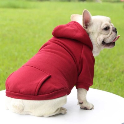 Stylish dog sweater