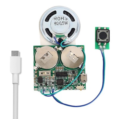 Recordable Sound Module, Icstation 8M USB Programmable Sound Chip with Speake...