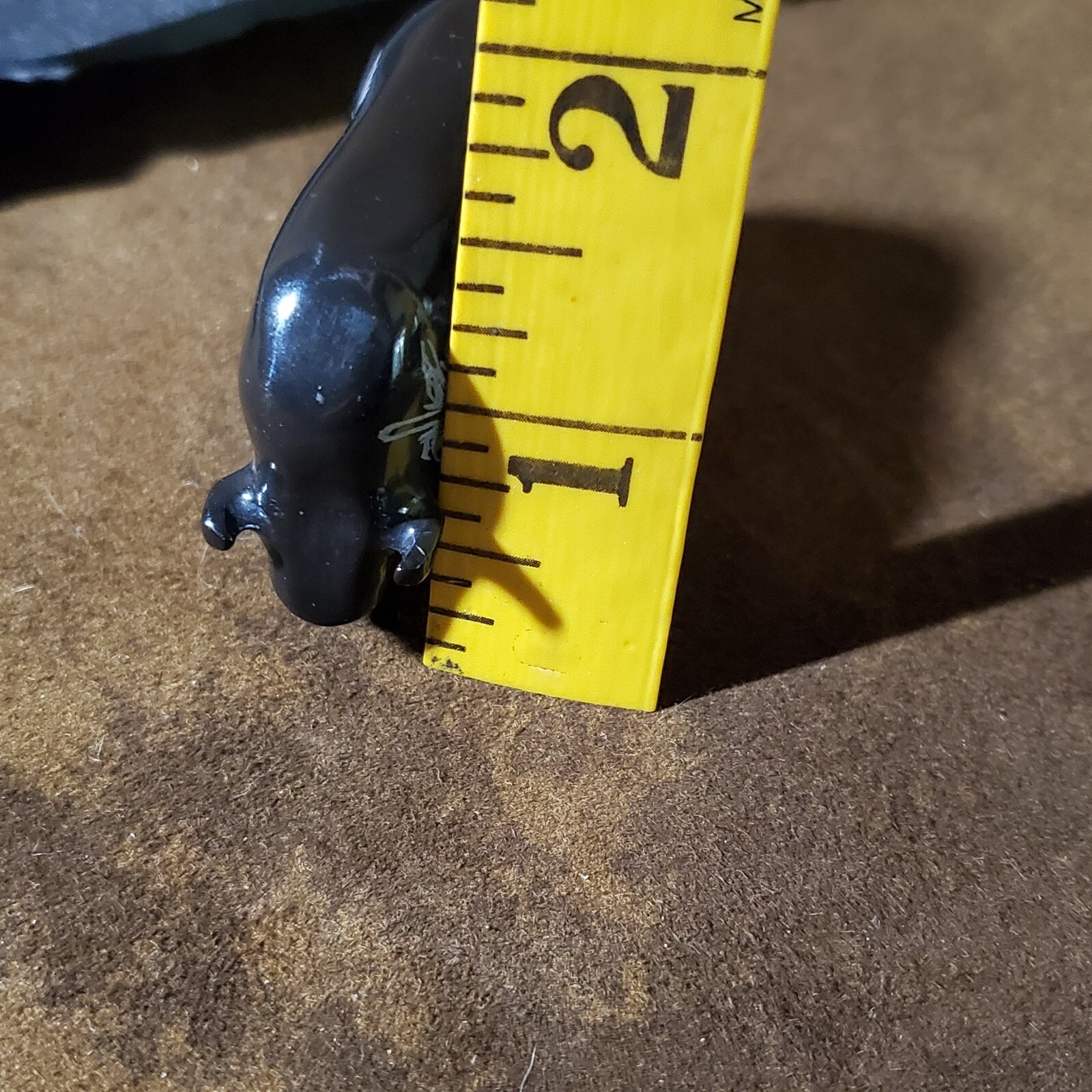 Picture 10 of 11