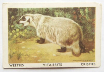 Australian Vitabrits Weeties Animals of World 47 Dachs