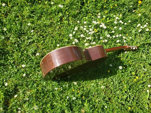 Schöne Spanische Gitarre "Paco Marin 4-A", beschädigt! - Bild 6 von 17
