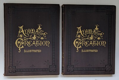 Animate Creation Illustrated 1898 Vol III Birds & VI Fish Reptiles 3 6 DAMAGE