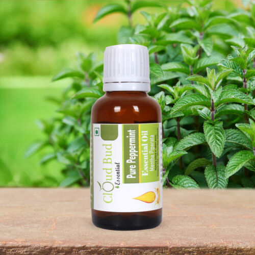 Olio Essenziale Puro Menta Pepe Mentha Piperata Distillato Non Tagliato Naturale Per Pelle - Foto 8 di 17