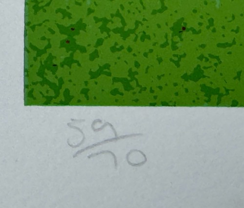 Graham Ovenden - Madera de Birnam.  Serigrafía firmada de 1972 - Imagen 4 de 7