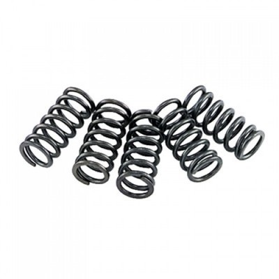 EBC Clutch Spring Set CSK35