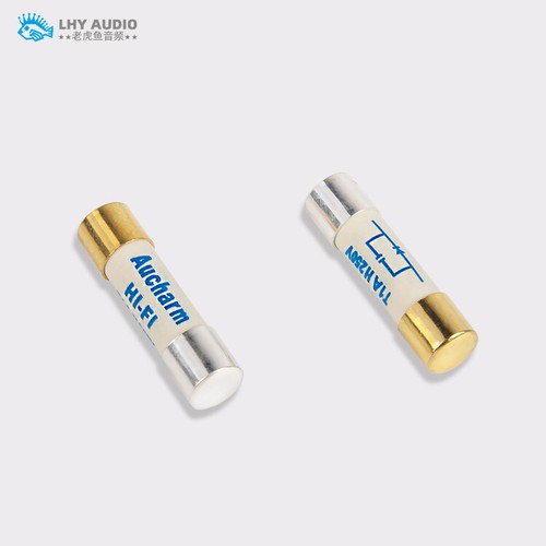 5pcs Fusible HIFI de plata esterlina de fusión lenta Aucharm 5x20mm para actualización de audio DIY - Imagen 4 de 4