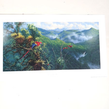 Michael Sieve Print Panama Red Macaws Parrots Jungle Limited Signed #d