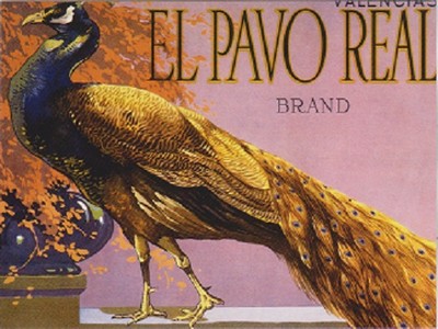 *Halloween Postcard-''El Pavo Real/Peacock Brand'' (Fruit Cake Label Art)