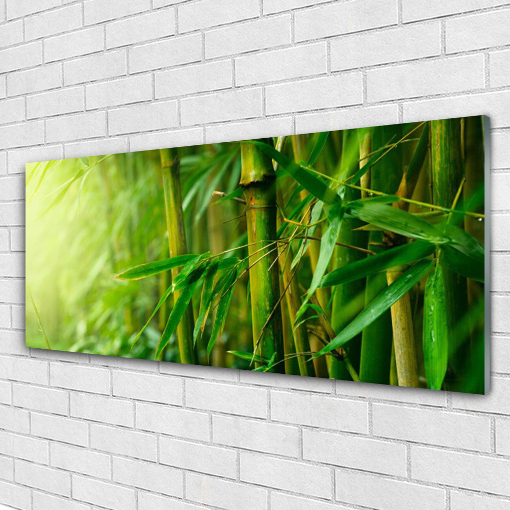 Tableau mural floral bambou en plexiglas 125x50 cm pour illuminer un couloir sombre