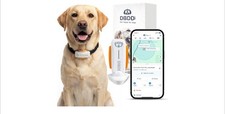 Smart GPS Dog Collar Tracker Virtual Fence Live Tracking Vital Signs Monitoring
