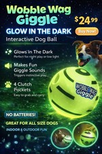 Wobble Wag Giggle Glow In The Dark Dog Ball Interactive Toy All Size Dogs