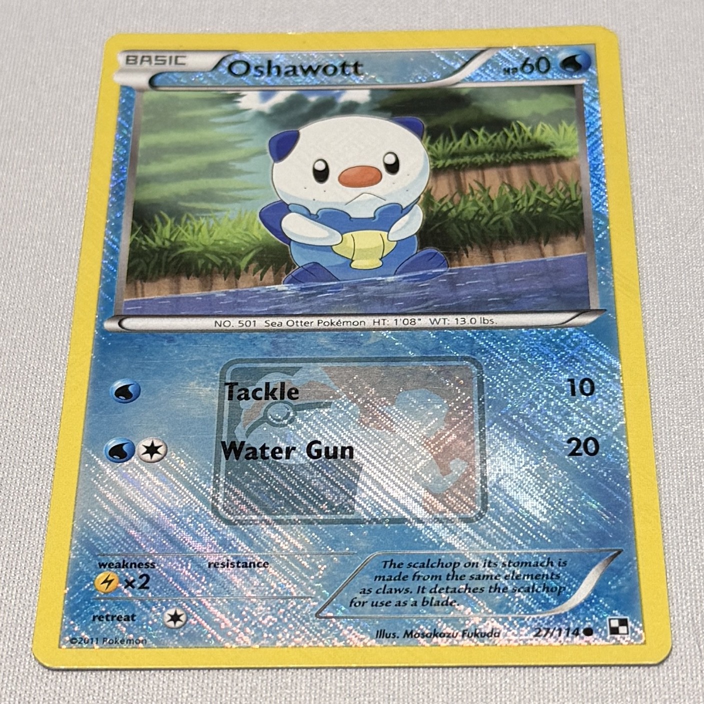 Oshawott - (League Promo) 027/114 League & Championship Cards Reverse Holo