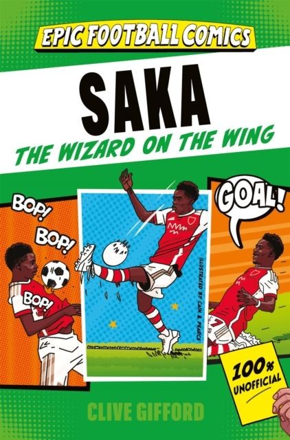 Saka: The Wizard on the Wing by Clive Gifford
