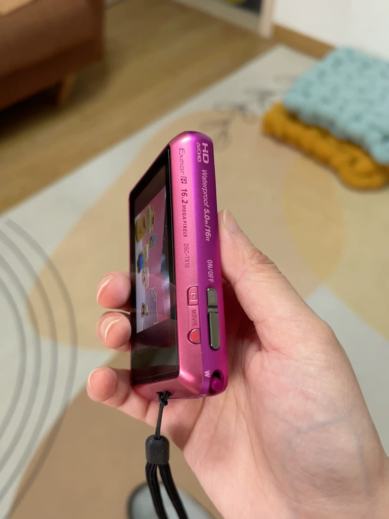 SONY Cyber Shot DSC-TX10 Digital Camera English Language