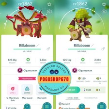Pok mon Go - Shiny Gigantamax Rillaboom   Trade or Mini P.T.C