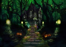 10x8ft Halloween Night Haunted House Firefly Photo Background Vinyl Backdrop LB