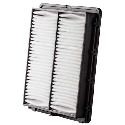 Air Filter-Standard Premium Guard PA99096