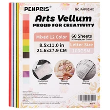 60 Sheets Colorful Vellum Paper Translucent Tracing Paper 12 Colors 8.5 x 11i...
