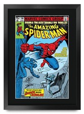 The Amazing Spider-Man Marvel Framed Printed Autograph Pic Comic Manga Fan