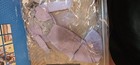 GENE Brand Doll Outfit Complete with Certificate of Authenticity — photo 6
