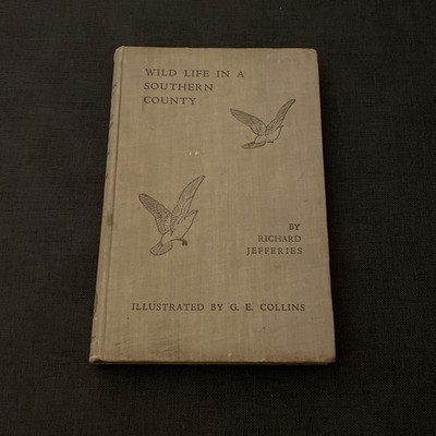Wild Life in a Southern Country Richard Jefferies and G. E. Collins 1937 Edition