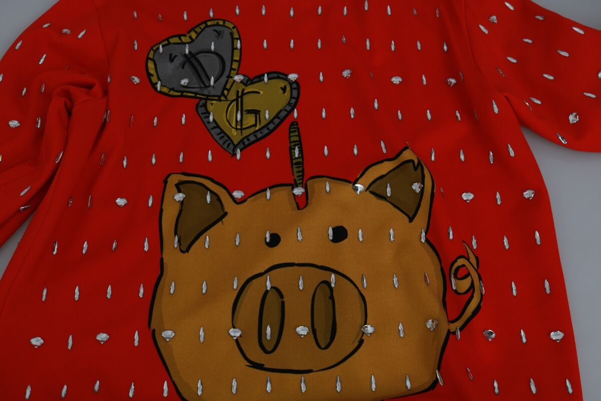 DOLCE & GABBANA Red Sweater Crystal Pig of the Year IT52 DOLCE & GABBANA Red Sweater Crystal Pig of the Year IT52