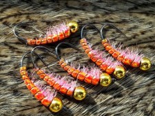 Krebs pink Tungs/Goldkopf Gr.10;12 beschwert Qualität Fliegenfischen 1St/Set 6St