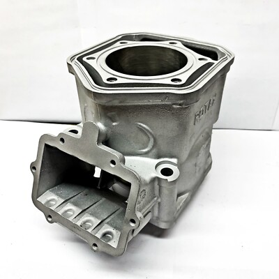 Ported Ski-Doo MXZ X 600RS XRS XP XS Cylinder 12-15 Ported Ski-Doo MXZ X 600RS XRS XP XS Cylinder 12-15