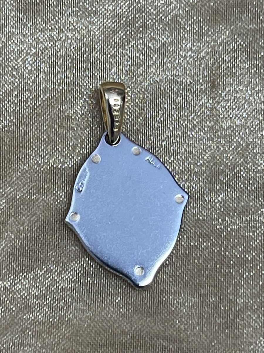Cartier Santos Oval Charm 18 K Bezel SS Rare Jewelry | eBay Cartier Santos Oval Charm 18 K Bezel SS Rare Jewelry | eBay
