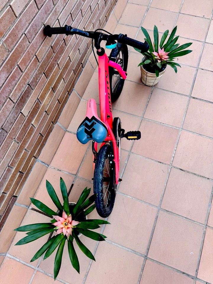 Bicicleta Monty - Imagen 2 de 4