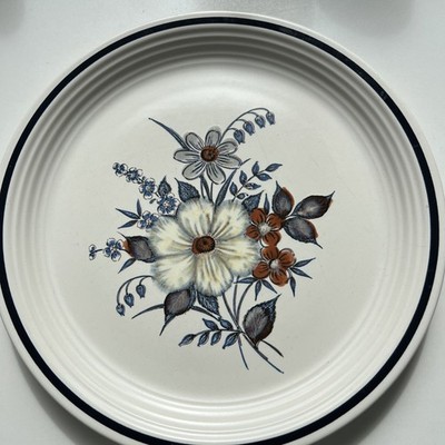 Vintage Town & Country Collection Blue Ridge Speiseteller 10,5 Zoll (27 cm) sehr guter Zustand 