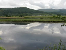 Photo 6x4 The River Eachaig near Ardbeg Kilmun/NS1781 Looking across whe c2017