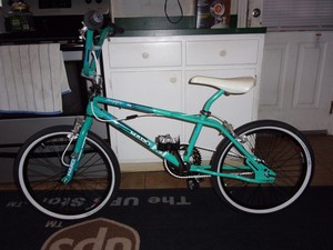 1987 mongoose expert