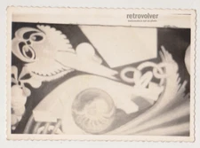 Surreal Visions Owl, Nautilus, and the Infinite Dance of Symbols Abstract Photo