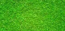 Noch 08410 - Flocage Alpage, Vert Clair, 42g