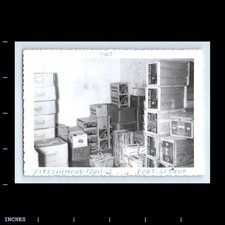 Vintage Photo FITZSIMMONS FRUIT CO PORT ARTHUR ONTARIO CANADA 1957