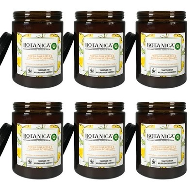Air Wick Botanica Duftkerze Fresh Ananas & Tunesischer Rosmarin - 6er Pack, 500g