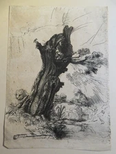 REMBRANDT 1606-1669 ENGRAVING SAINT JEROME LION TREE TRUNK ALMOND DURAND B.103