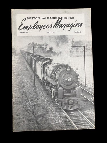 Poster Vintage 1925 Boston & Maine Railroad - Stampa Viaggi 24x36 - Foto 3