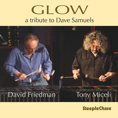 David Friedman - Glow [New CD]