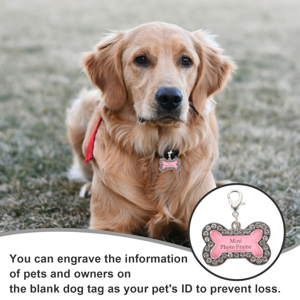 2 Pcs Targhette Personalizzate Cani Accessori Collari Targhetta Cane Tag Del foto 4