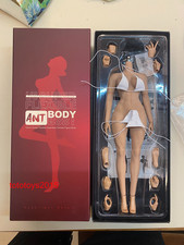 ANT 1/6 T307 Fitness Plump muscle Bust Female Action Figure Hand shape Body