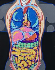 Vibrant 3D Acrylic Painting of Anatomy Model on Canvas