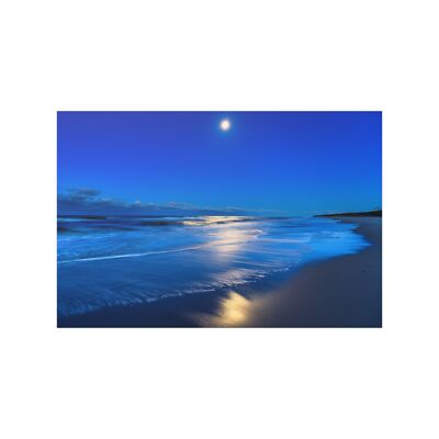 Beach poster, New 36x24 Satin poster assembled in USA