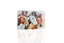 Horsing Around - CANVAS OR PRINT WALL ART