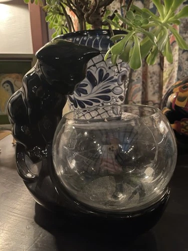 Vintage Royal Haeger Gazing Cat Pottery Glossy Black 8” Tall with Fishbowl