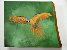 Hand Painted Parrot Flying On Live Edge Pine wood by Phyllis