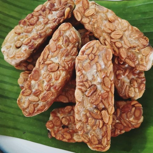 RAPRIMA Tempeh Starter eBay