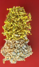 Halls + Ricola  Relief Cough Drops   Loose ( 1.8 Lbs ) Exp: 11/26