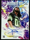 X-Pac Auto 2025 Topps WWE Exalted Ambient Autograph AMA-XPC Degeneration X